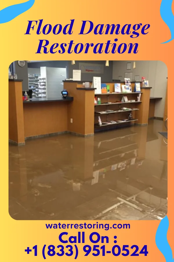 Flood Damage Restoration in Union Point, GA