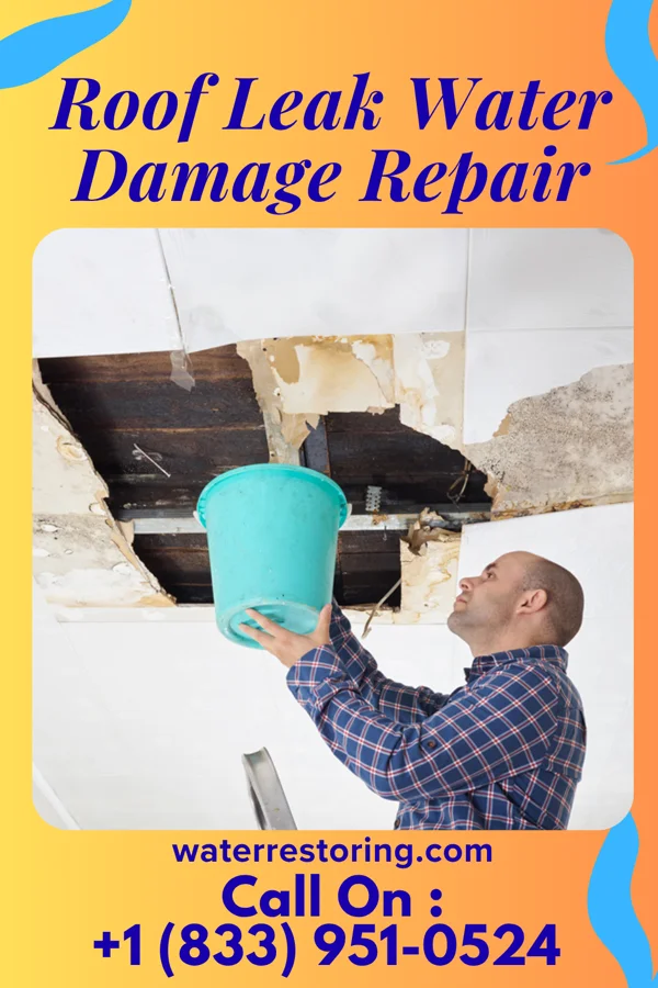 Roof Leak Water Damage Repair in Union Point, GA