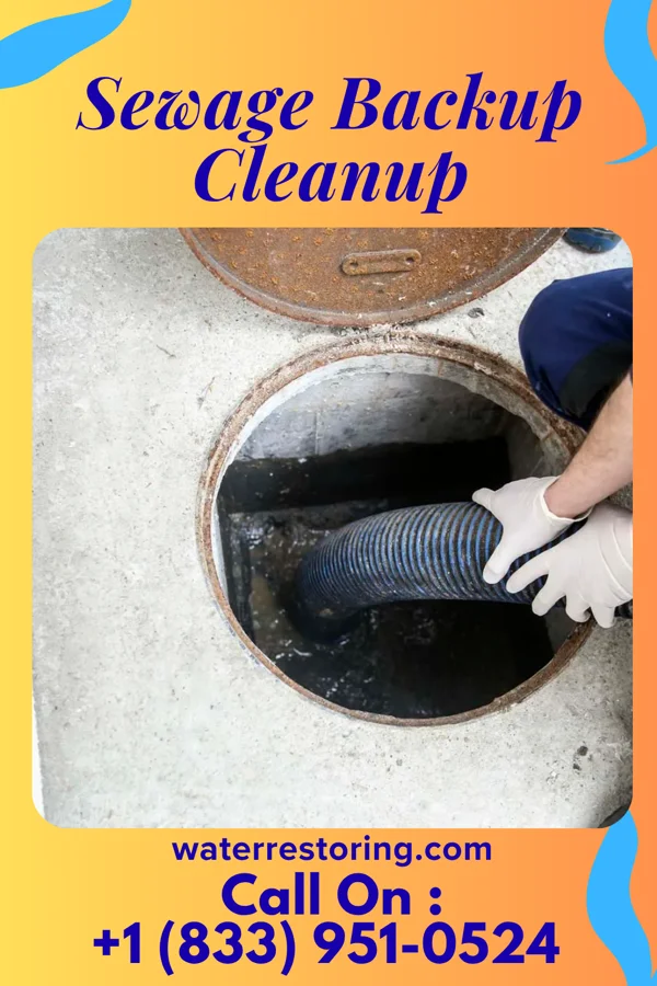 Sewage Backup Cleanup in Union Point, GA